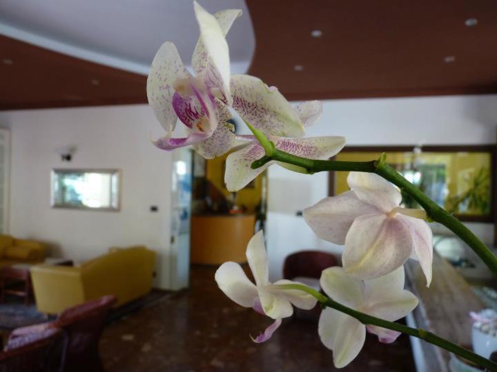 Hotel Gambrinus Lido di Jesolo Ngoại thất bức ảnh